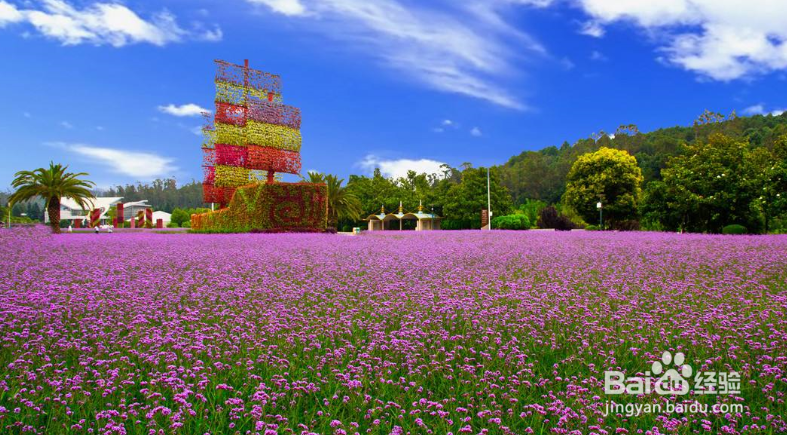 云南旅游全攻略