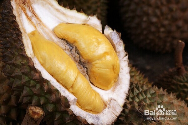 怎么挑新鲜水果——怎么挑榴莲