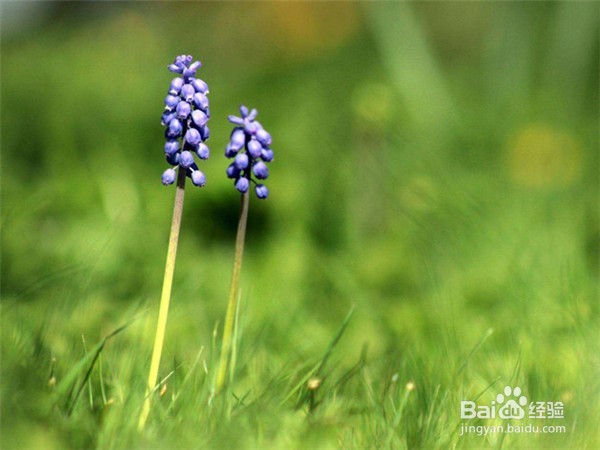 如何化解生活中的尴尬