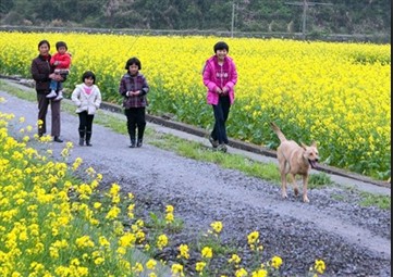 洞桥行走攻略,食住行全知道