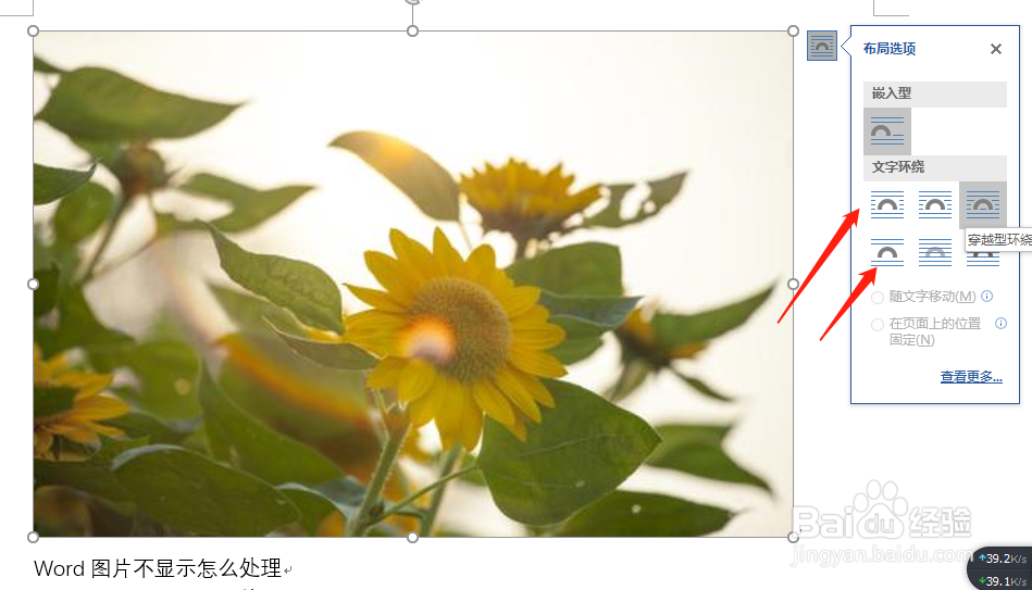 word插入图片不显示怎么解决