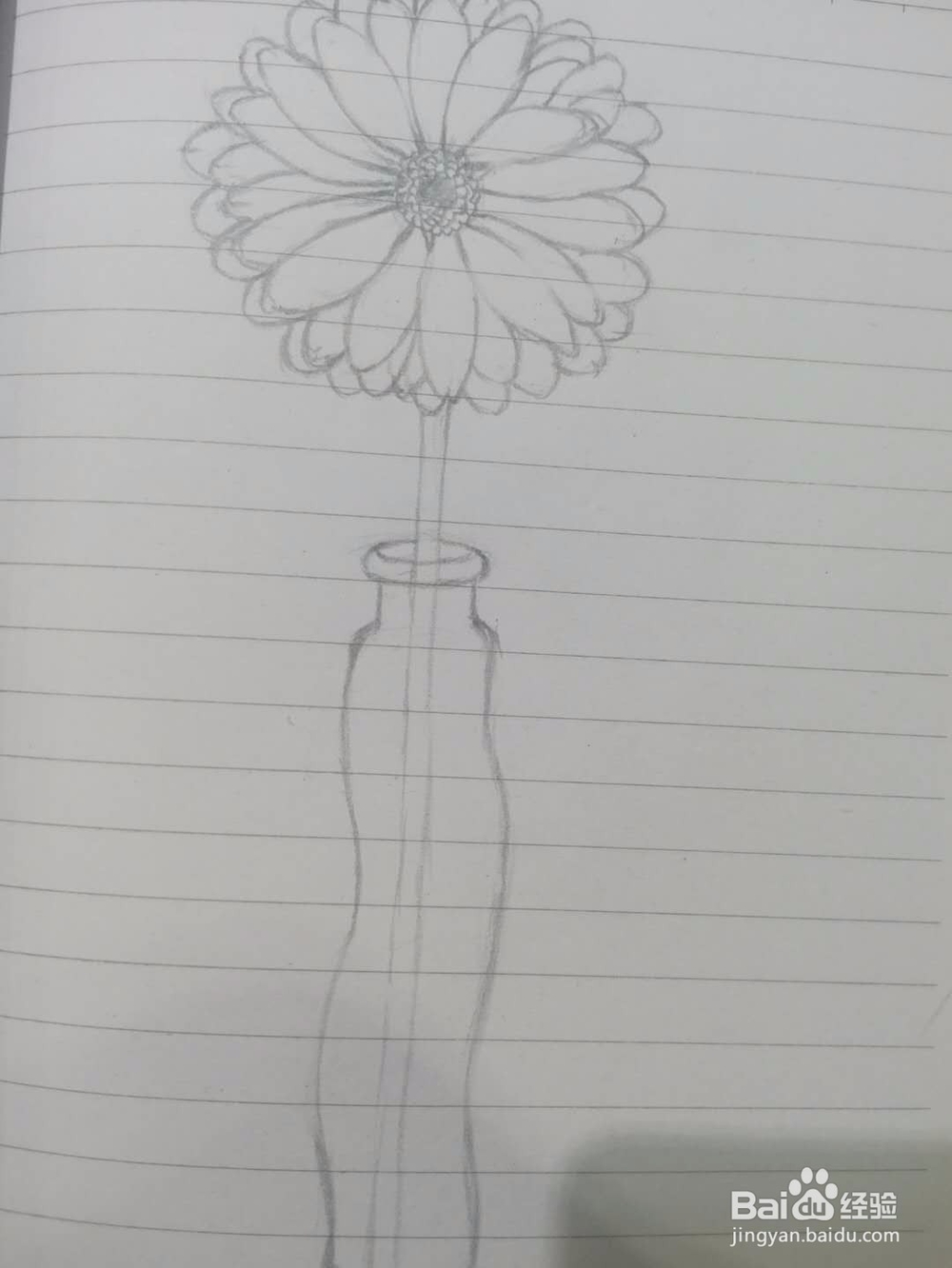 《菊花小景》手绘过程