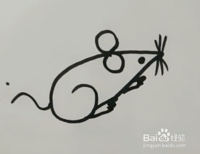 教你怎样用678简笔画老鼠