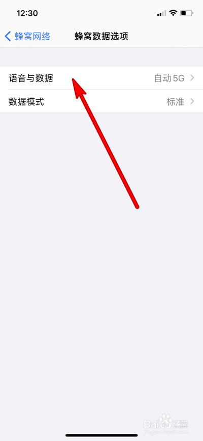 iphone12pro max怎么设置关闭5G