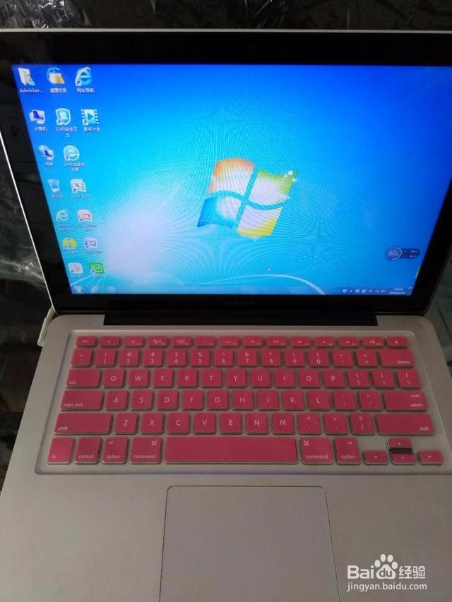 苹果电脑APPLE出现蓝屏装系统