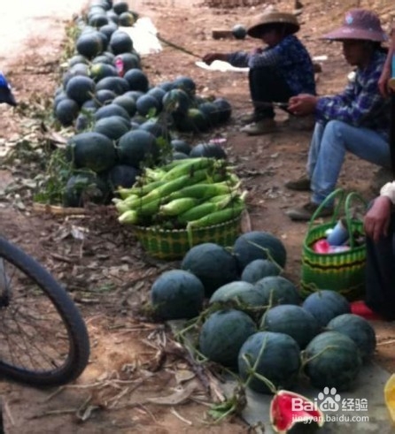 2014南宁大王滩旅游景区骑行攻略