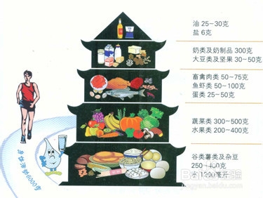 健身养生-对肥胖说NO，减肥瘦身美丽方法多