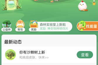 《支付宝》森林4月小树装扮怎么装扮