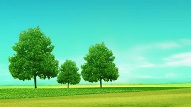 “熊孩子险”怎么样呢