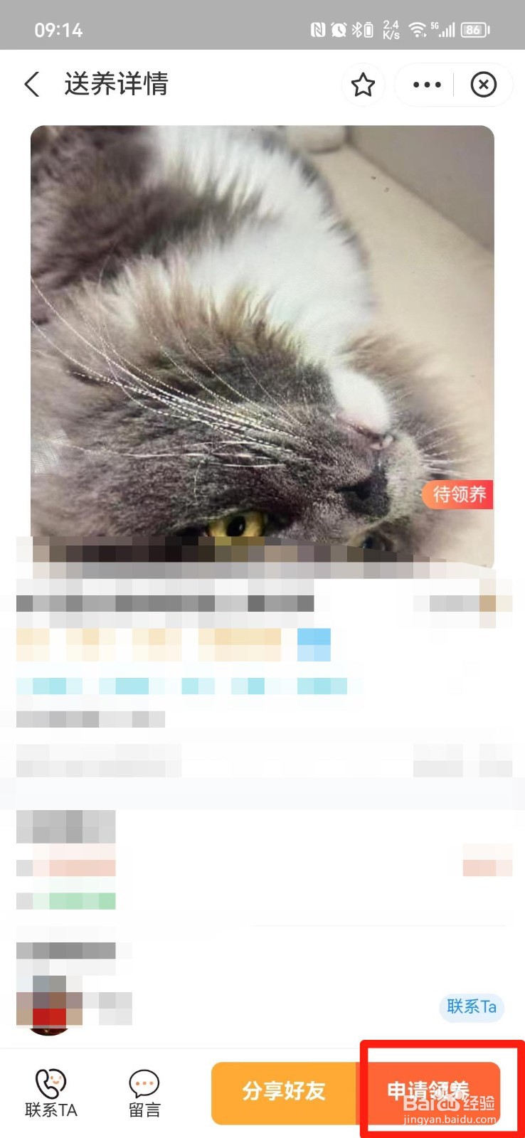 怎么在网上领养宠物