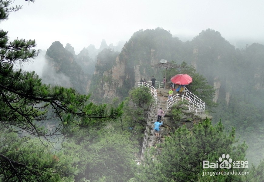 柳州到张家界自驾游