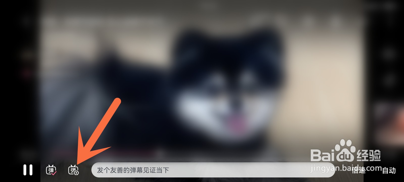 b站怎么调节弹幕速度