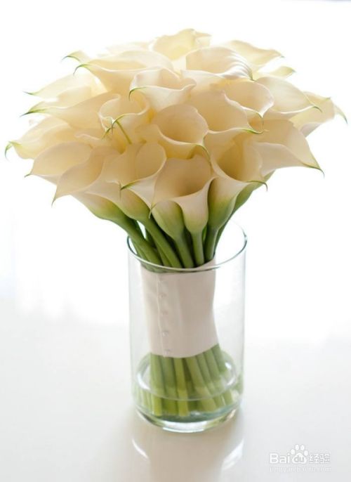 花栖花艺小原流花意匠 立式如何插花 百度经验