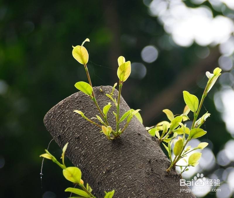 那些意味深长的句子