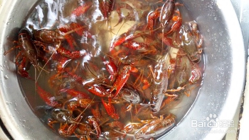 麻辣小龙虾的做法