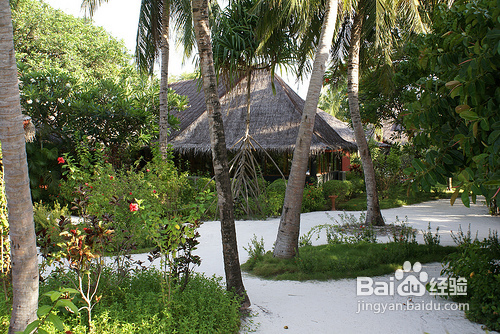 分享马尔代夫白金岛旅游餐食攻略