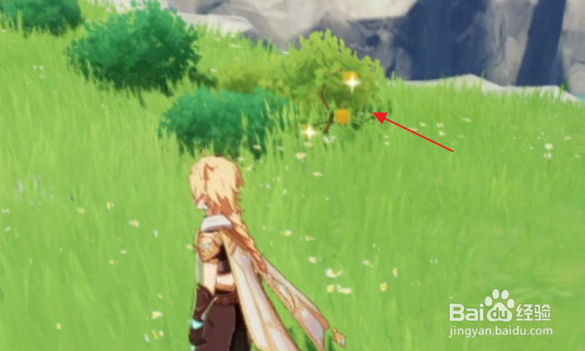 原神怎样采集树莓