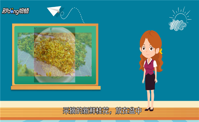 怎么做桂花香包
