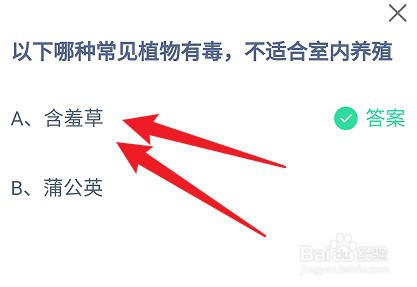 以下哪种常见植物有毒，不适合室内养殖