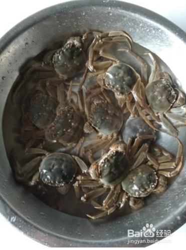 清蒸大螃蟹呀