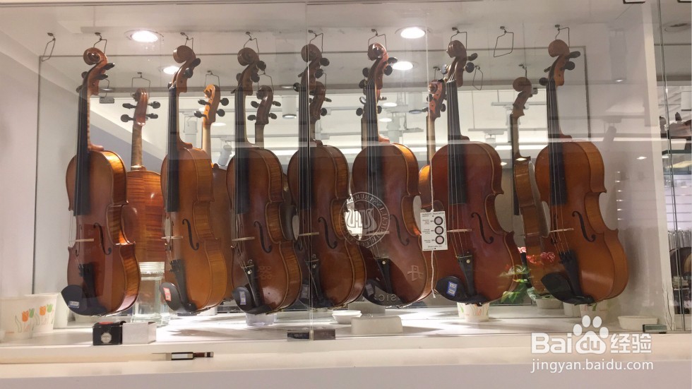 卡丹萨小编分享购买提琴的注意事项