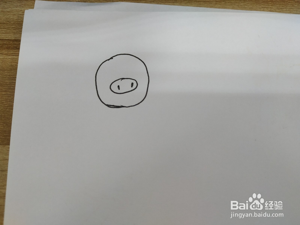 蝴蝶结可爱小猪简笔画怎么画,怎么画小猪