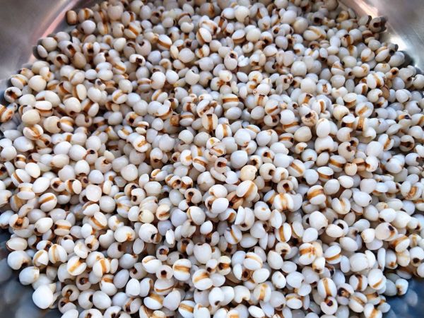 冬瓜薏米排骨汤