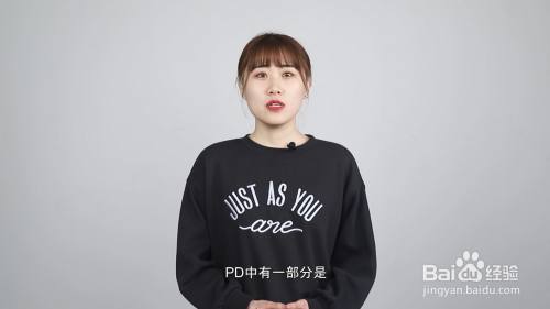 Pd是什么意思 百度经验