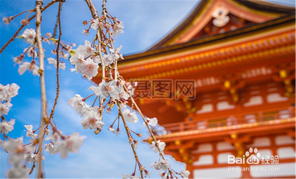 慈溪日语培训机构怎么选择