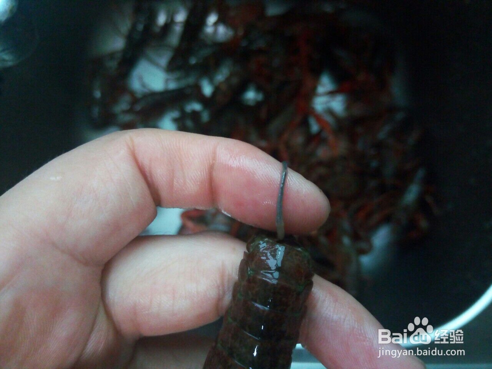 麻辣小龙虾怎么做