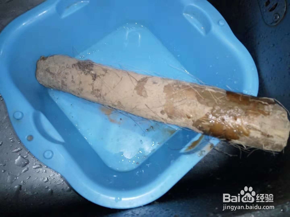 山药清炒黑木耳——清爽可口的养生菜