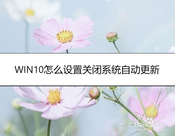 <b>WIN10怎么设置关闭系统自动更新</b>