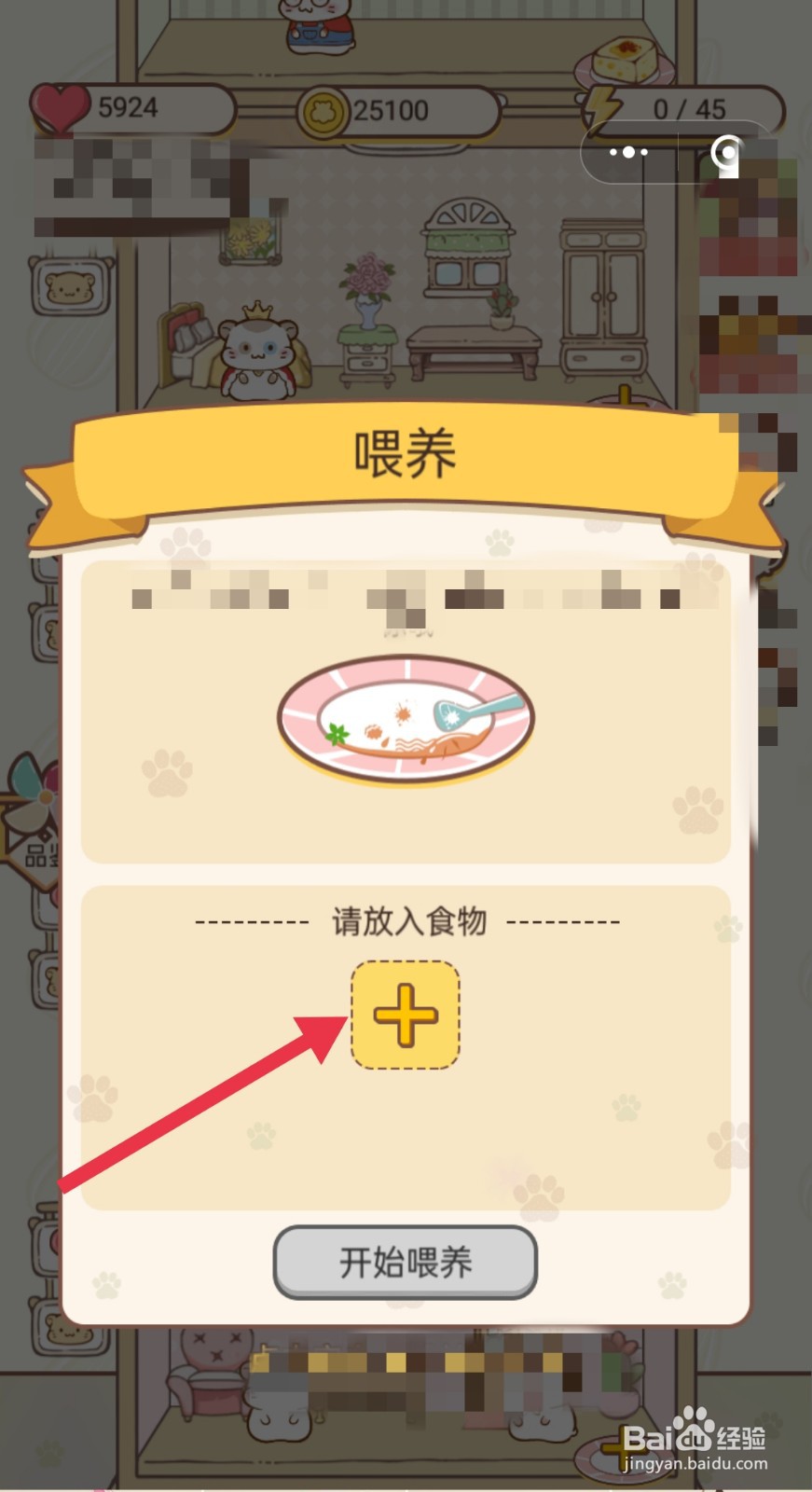 仓鼠公寓怎么购买食物喂养仓鼠