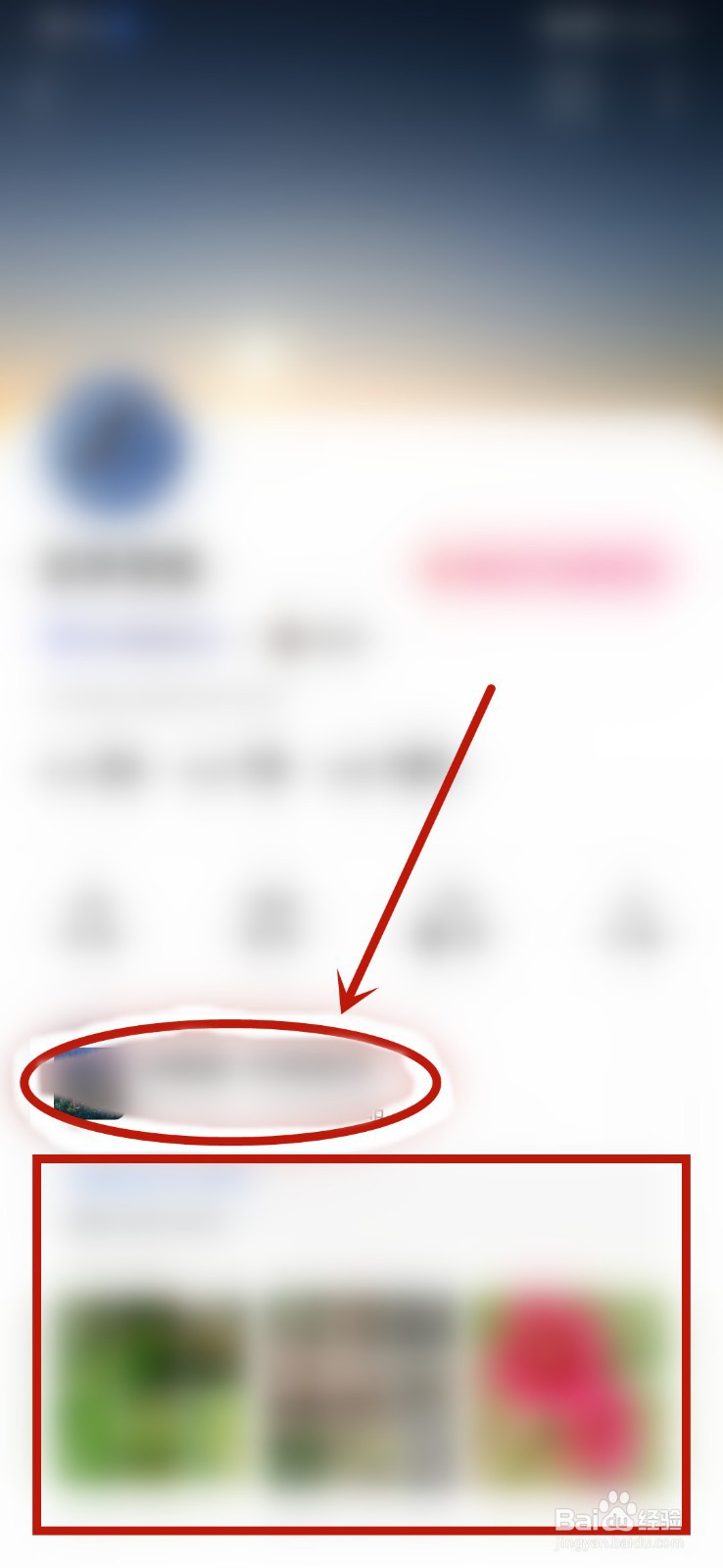 图虫圈子作品在哪里查看？