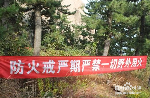 怎样才能抓好搞好护林防火