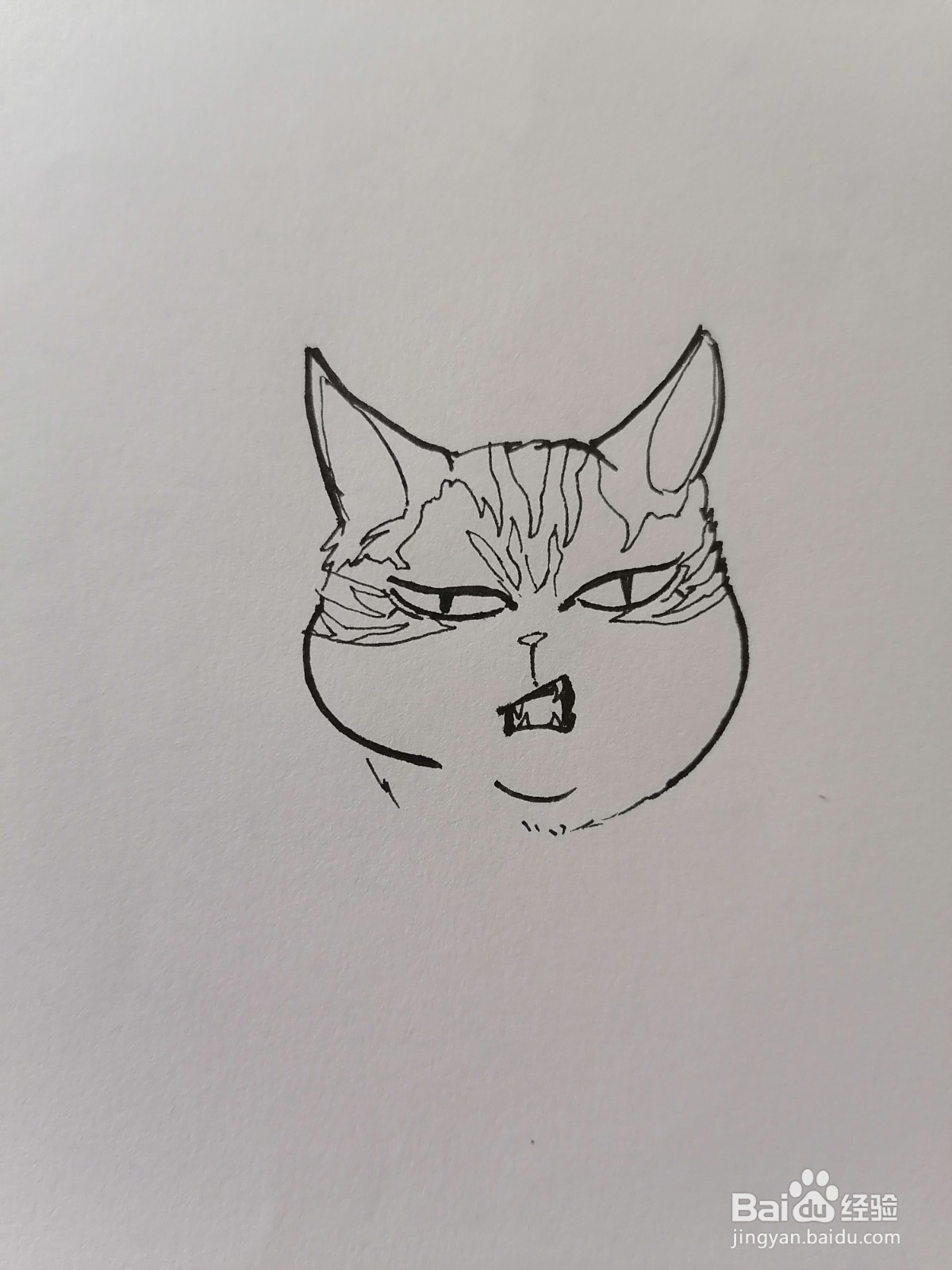 猫猫爱挡路简笔画