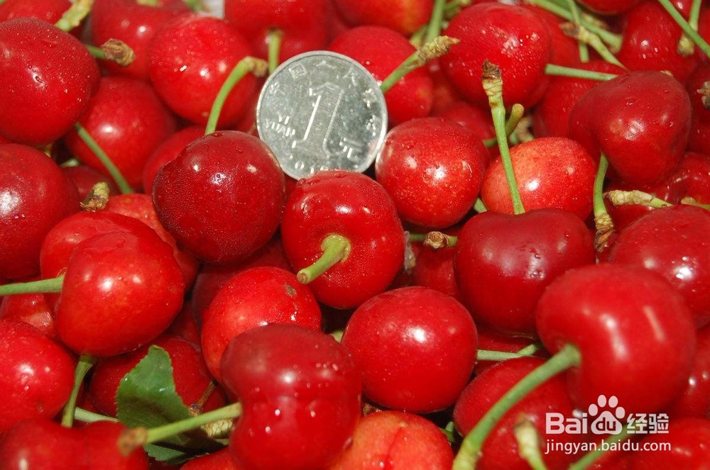 如何购买好吃便宜的大樱桃/车厘子