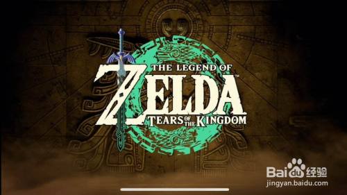 王国之泪滑翔伞怎么换皮肤