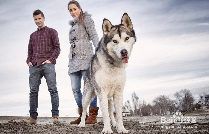 胜负心太强怎么矫正