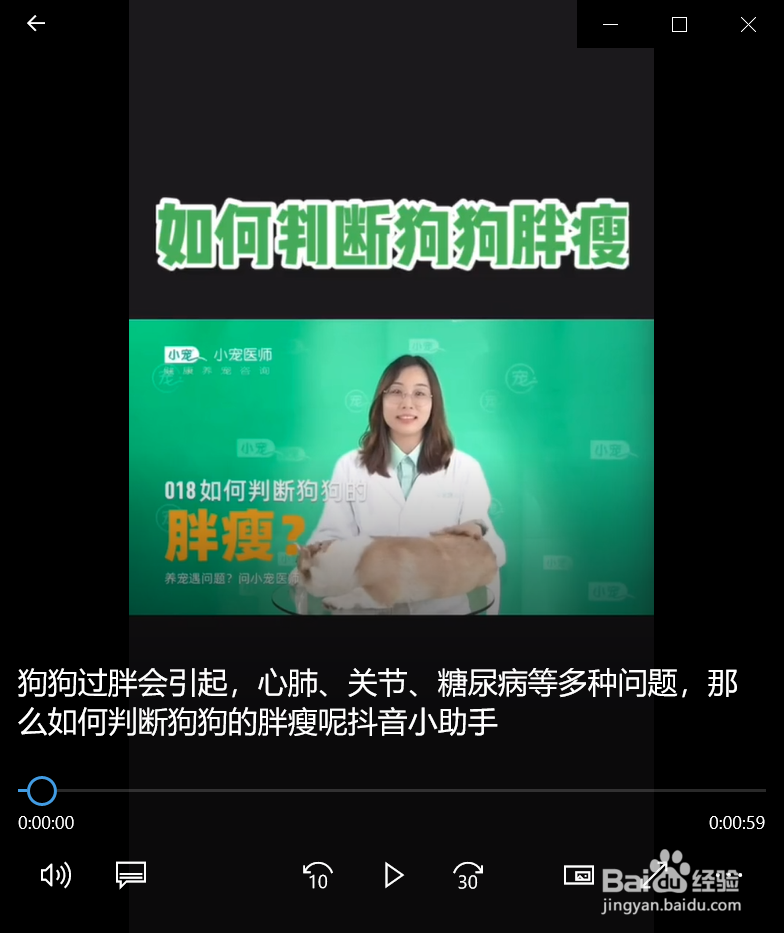 如何正确的判断狗狗胖瘦呢？