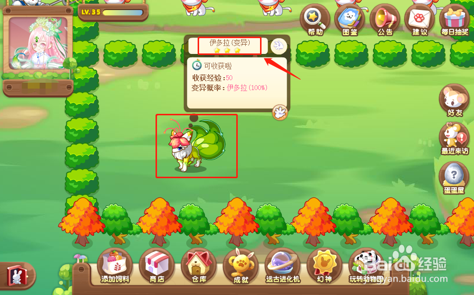 奥比岛中的伊多拉怎么获得