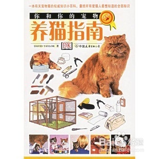 新手养猫必备知识