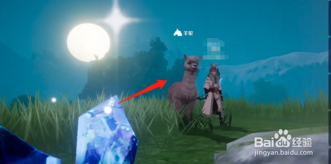 诺亚之心羊驼坐骑怎么获得