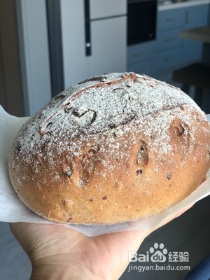 核桃蔓越莓全麦欧包的做法