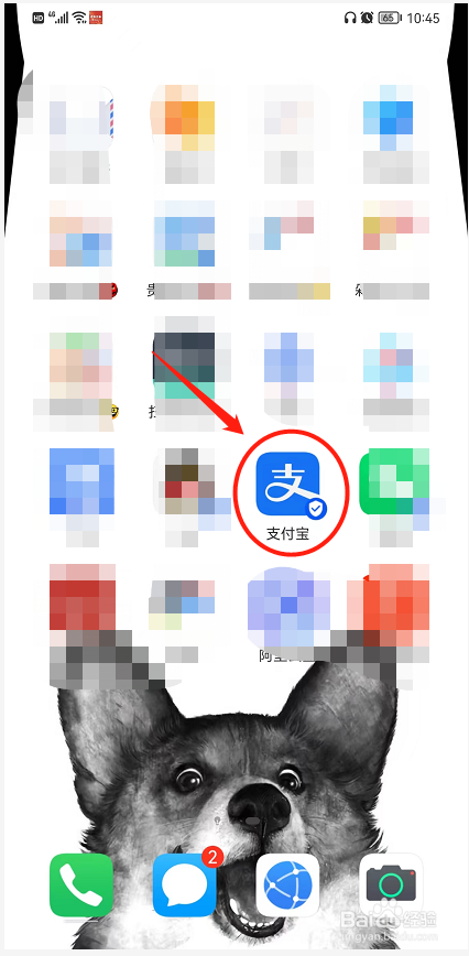 支付宝中的积分在哪里领取