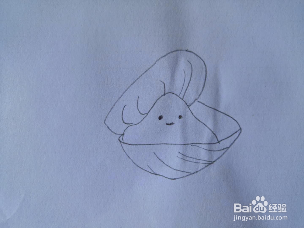 如何画蛤蜊简笔画？