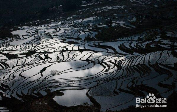 元阳哈尼梯田,山水自然间的一道霞光