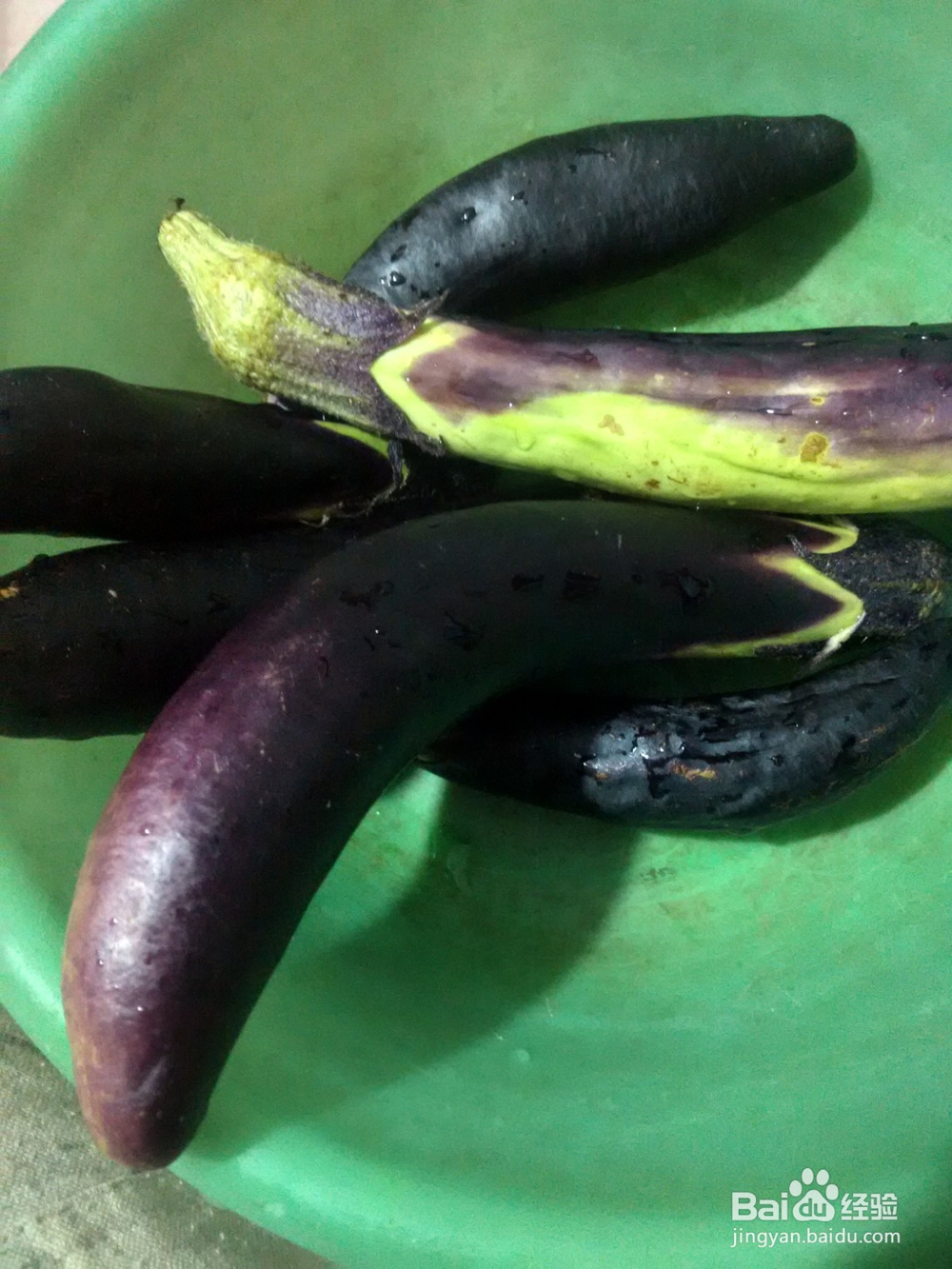 葱姜爆豆角茄子