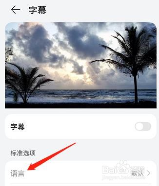 手机字幕的语言在哪里可以修改？