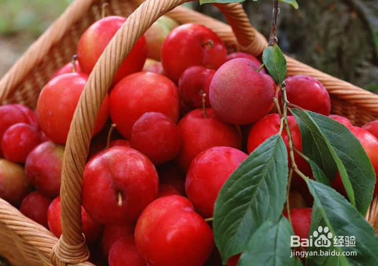 火热夏季吃什么可以减肥